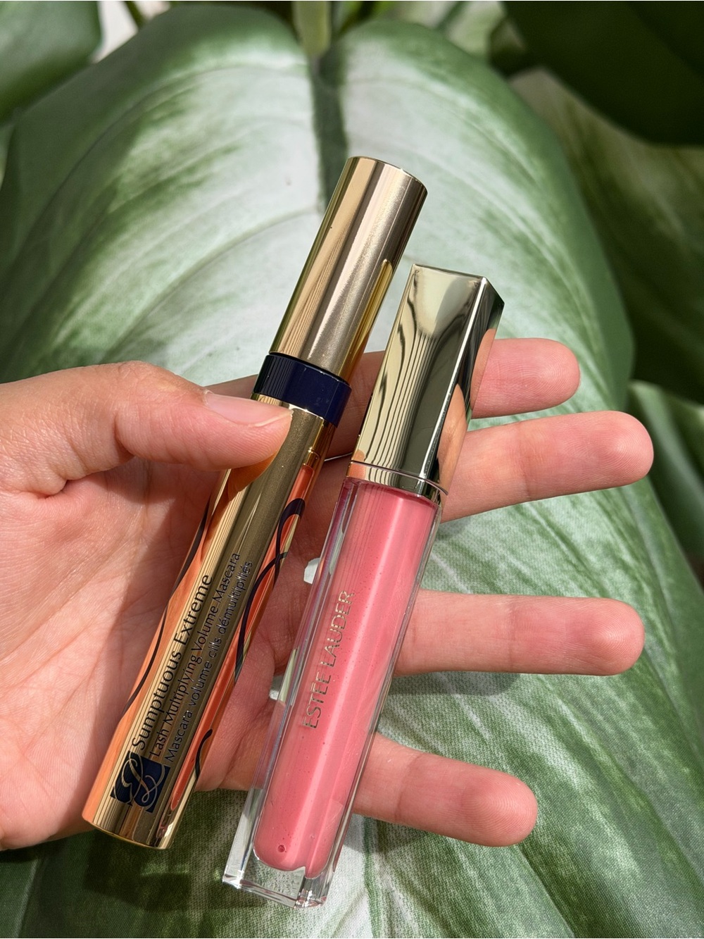 Estee Lauder Pink Lip Gloss and mascara